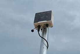 case-img