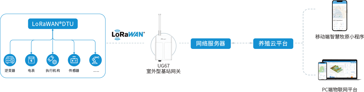拓扑图